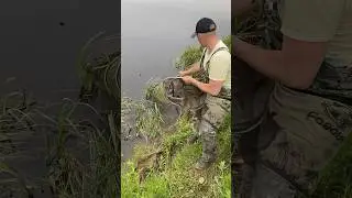 Фидерная рыбалка. Результат рыбалки на речке Березина 9 июня