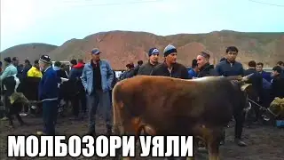 МОЛБОЗОРИ УЯЛИ БО МАРДУМИ УЯЛИ МАРҲАМАТ ТАМОШО КУНЕД.@ВАО ХУРОСОН.  6 марта 2022 г.