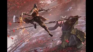 Into Sekiro Again