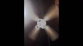 Hola
