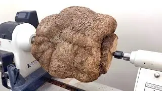 Who Wants To See What’s Inside This Giant Tree Wart? - Woodturning / Woodworking