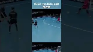 Stevie wonderful goal