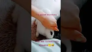 15 июня 2022 г.