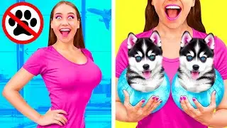Как Пронести Домашних Животных в Самолёт | Смешные Челленджи от Fun Fun Challenge