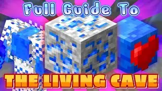 The Complete Guide To The Living Cave (Hypixel SkyBlock Rift)