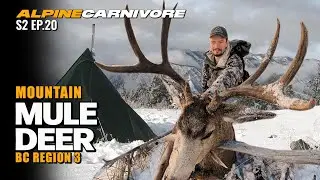 MOUNTAIN MULE DEER HUNTING | BC REGION 3 P.3