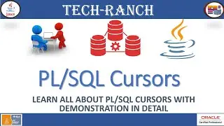 Learn all about PL/SQL Cursors | PL/SQL | 