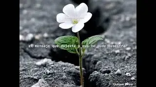 Quique Neira - Todo pasará /letra