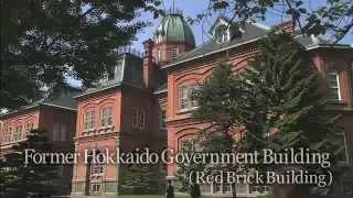 Strolling along the city of Sapporo