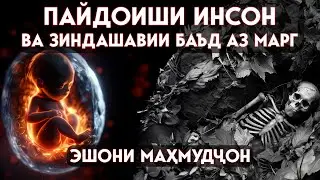 Пайдоиши инсон ва зиндашавии баъд аз марг