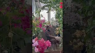 Мой цветочный рай в зимнем саду