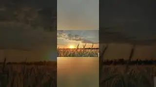 Татарская народная песня "Сарман"