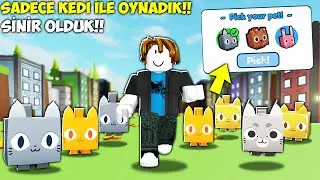 🐱 SADECE KEDİ PET ile OYNARAK OYUNU BİTİRMEK!! ÇOK ZOR!! 🐱 Pet Simulator X / Roblox Türkçe
