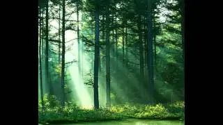 J Loopist- Ambush in the forest