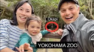 Yokohama Zoo Experience | ZOORASIA