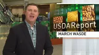 USDA March WASDE Report