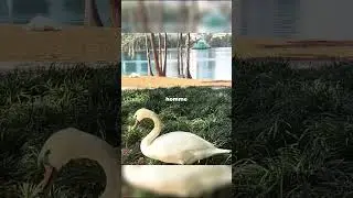 it’s moving