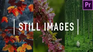 Work with Still Images in Premiere | Adobe Premiere Pro | Tutorial | 2021
