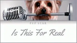 "Is This For Real" Lyrics - (Updated version) - PUP STAR