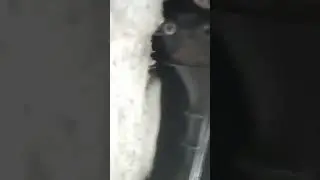 Обычная замена фильтра...