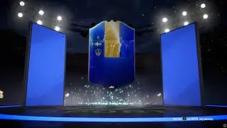 Tots Ibra 95 in FC | FIFA 19
