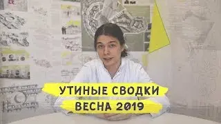 Утиные сводки март + апрель