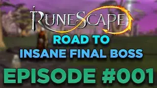Runescape - Ironman Road To Insane Final Boss Episode #001