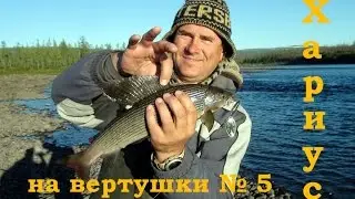 Здоровый хариус на вертушки № 5