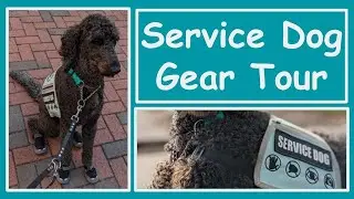 Service Dog Gear Tour
