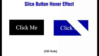 #12 CSS Create Shine Button Hover Effect Using CSS | Using pure Html & CSS