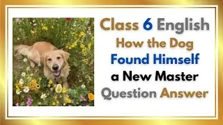 How the dog found himself a new master question answer |Class 6 English Chapter 2 NCERT Solutions |