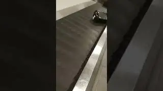 Как происходит выдача багажа в аэропорту, How is baggage claim at the airport