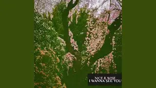 I WANNA SEE U