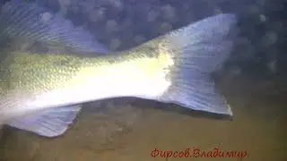 Шиномонтаж.