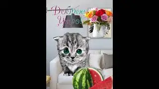 ЛЮБИМЫЙ, ДОБРОЕ УТРО ❤️😽❤️ #котики #коты #кошки #приколы