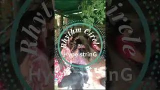 Rhythm Circle By Hype String at Inayat Music Festival, Pushkar 2022 || #shorts
