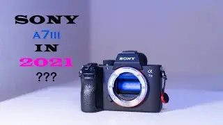 Sony a7iii - Still Great In 2021???