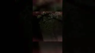 В лесу всегда ОПАСНО short 
