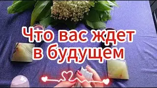 Что ждет вашу пару будущем 👩‍❤️‍👨 Таро расклад