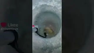 монстр в лунке 