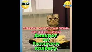 Анекдот про Полтавскую колбасу. 
