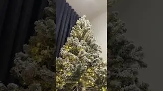 Set up my Christmas tree with me