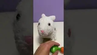 Наш питомец 😃 