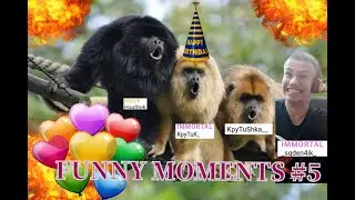 FUNNY MOMENTS