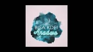 Bisa Kdei - Anadwo (Official Audio)
