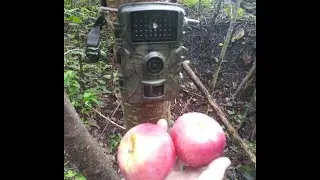 Bigfoot Evidence rock thrown ghost caught on camera