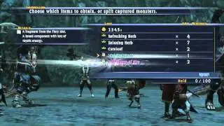 Let's Play the Last Remnant: Part 10, One of the that one bosses