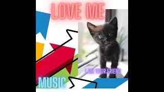wild extreme music