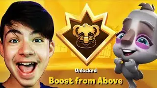 KOALA PRIMAL INSTINCT - Zooba