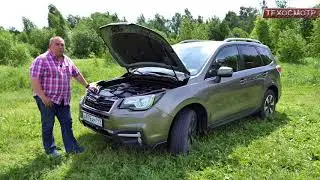 Subaru Forester продолжает расти, за что ему отдельное спасибо.